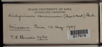Image Associated With the Occurence